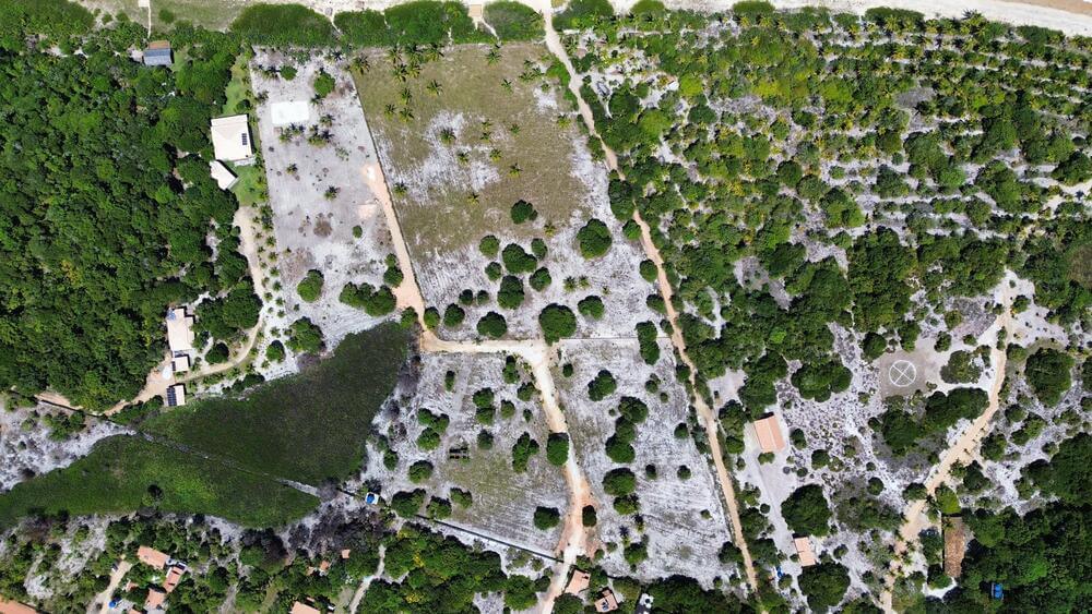 WhatsApp Image 2025-03-26 at 13.18.34 (1)