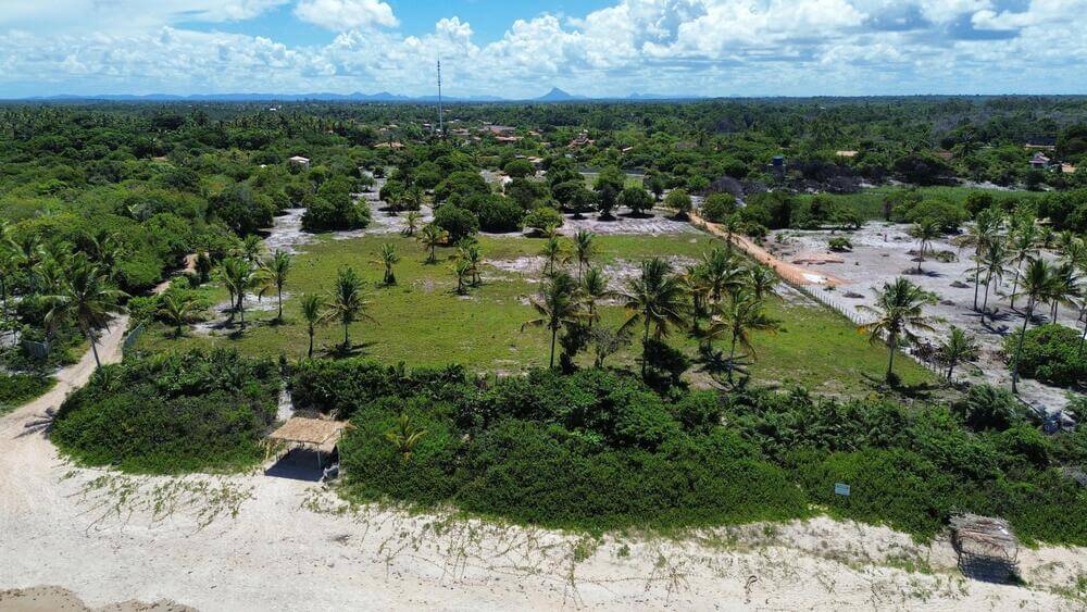 WhatsApp Image 2025-03-26 at 13.19.29 (1)